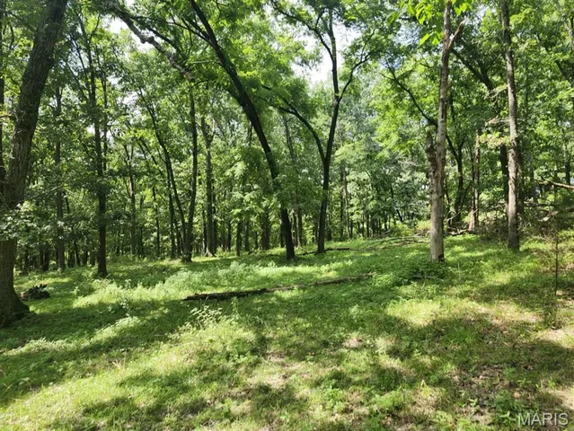 $176,000 | 0 State Highway 76, Ava, MO 65608