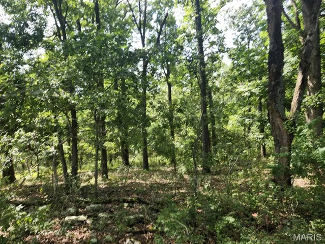 $176,000 | 0 State Highway 76, Ava, MO 65608