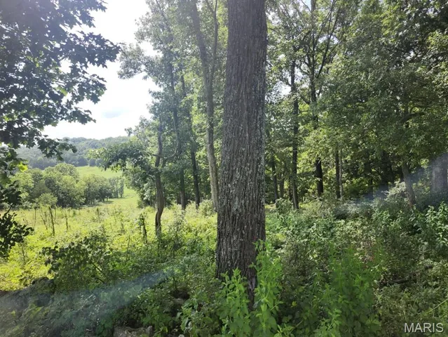 $176,000 | 0 State Highway 76, Ava, MO 65608