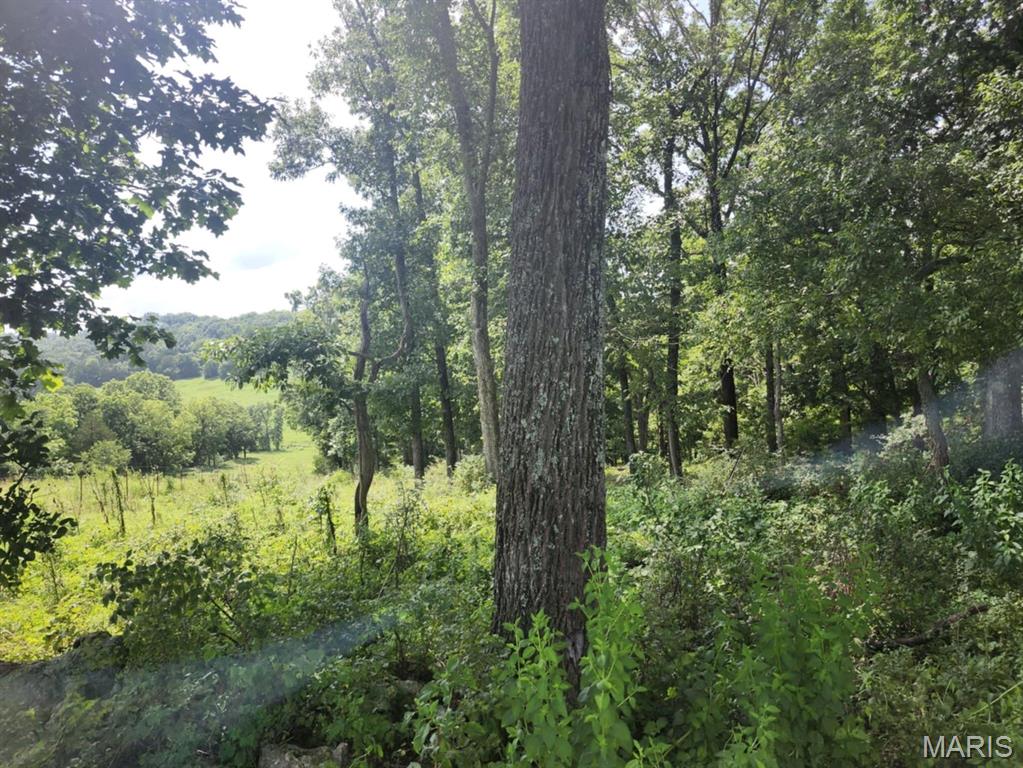 0 State Highway 76 Ava, MO 65608 - Photo 10 of 10