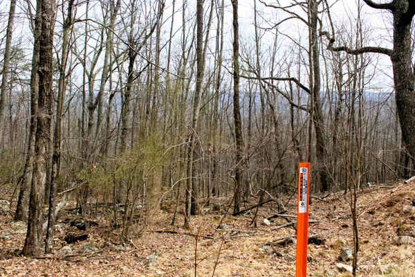 $90,000 | High Valley Drive South, Monterey, VA 24465