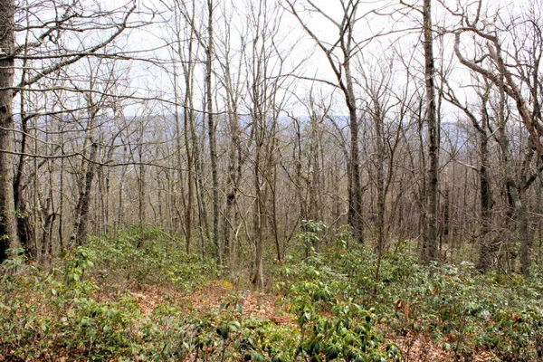 $90,000 | High Valley Drive South, Monterey, VA 24465