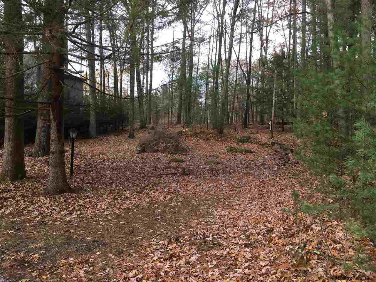 13 Dyer Road Lake George, NY 12845 - Photo 1 of 6 Photo 1