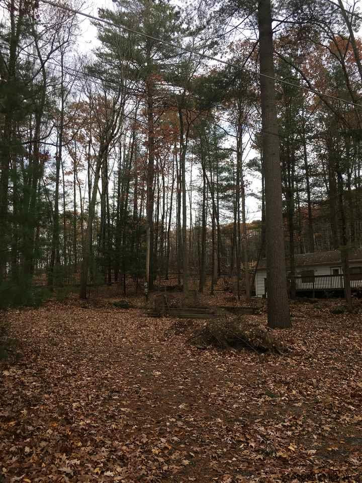 13 Dyer Road Lake George, NY 12845 - Photo 3 of 6 Photo 3