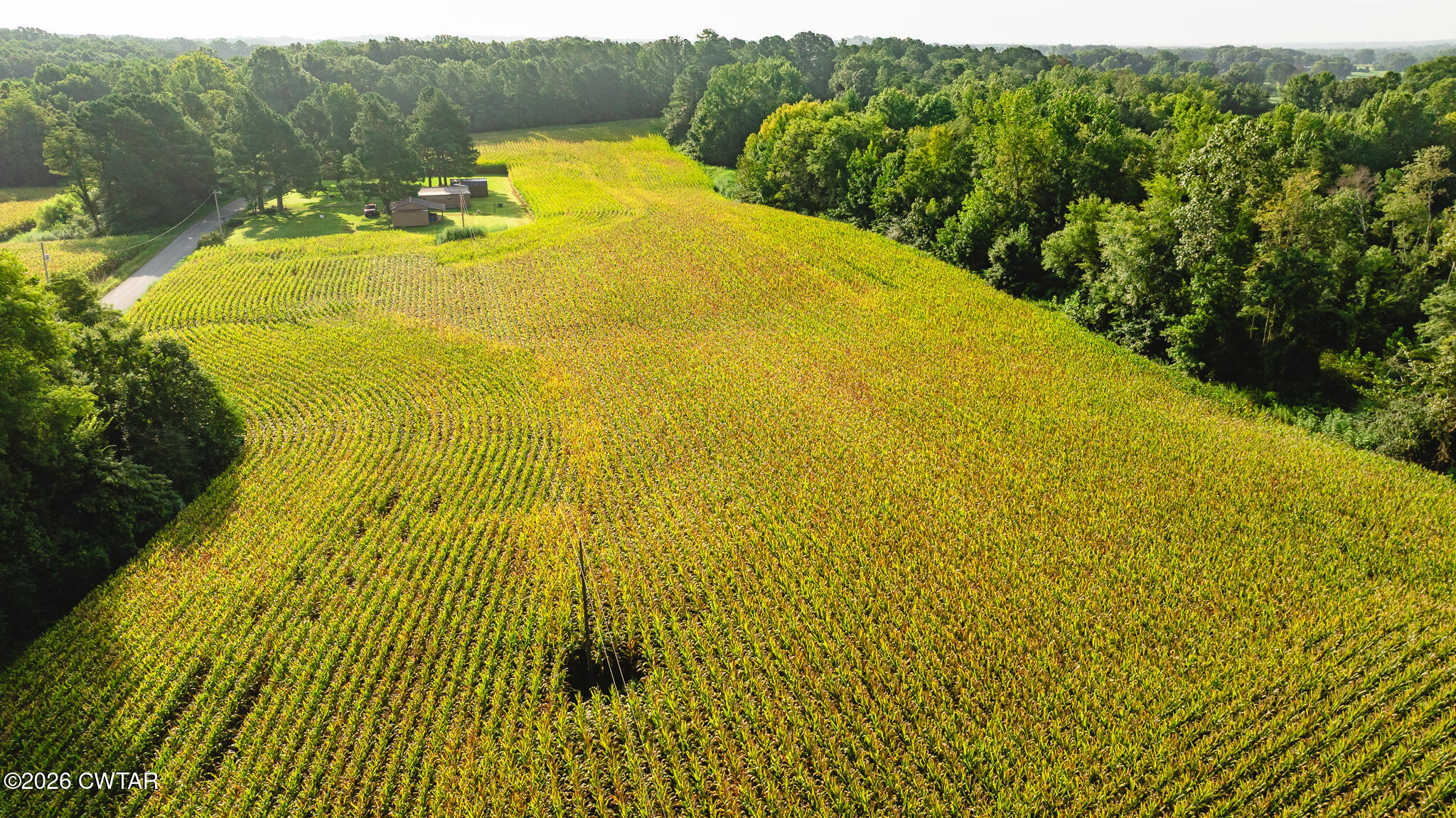 4500 Austin Springs Road Dukedom, TN 38226 - Photo 15 of 22 DJI_20260815154615_0035_D