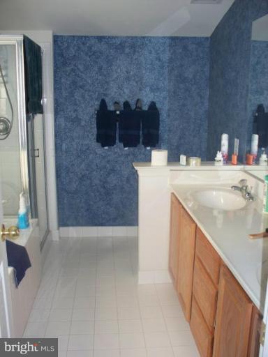 10312 Thrift Road Clinton, MD 20735 - Photo 9 of 10 Master Bath