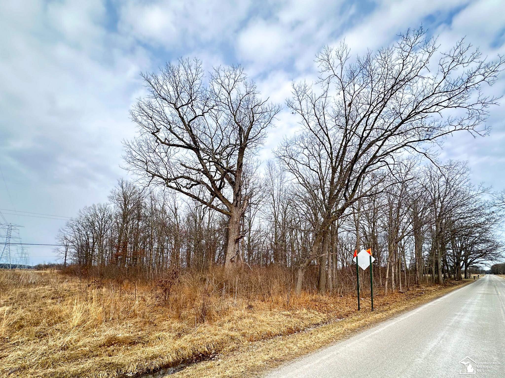 0 Toben Road Carleton, MI 48117 - Photo 5 of 6