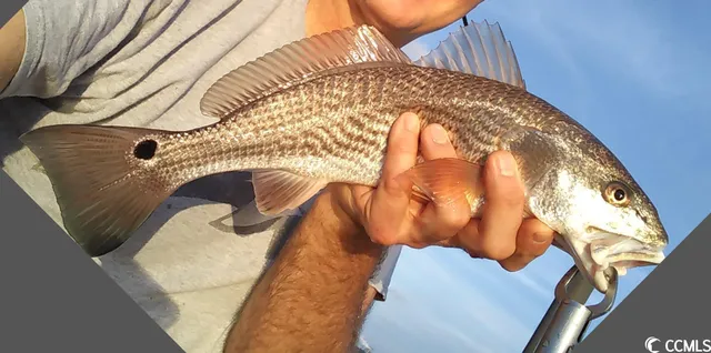 $42,200 | 97 Friendfield Marina Georgetown Sc 29440, Georgetown, SC 29440