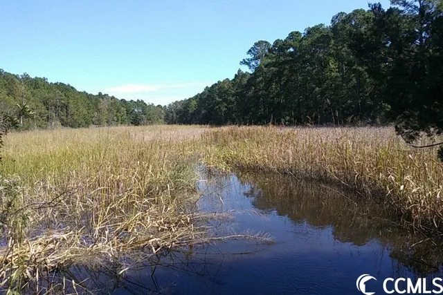 $42,200 | 97 Friendfield Marina Georgetown Sc 29440, Georgetown, SC 29440