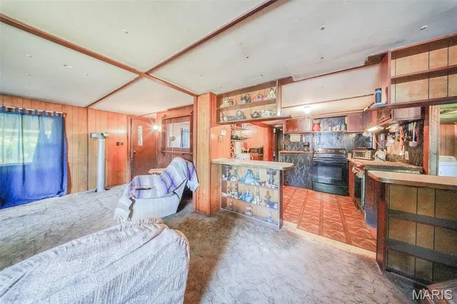 $195,000 | 108 7 Cedars Road, Salem, MO 65560