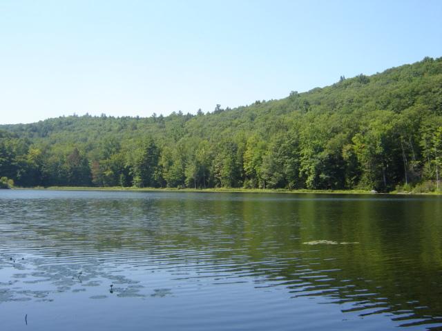 339 Long Pond Road Great Barrington, MA 01230 - Photo 3 of 3 Lake