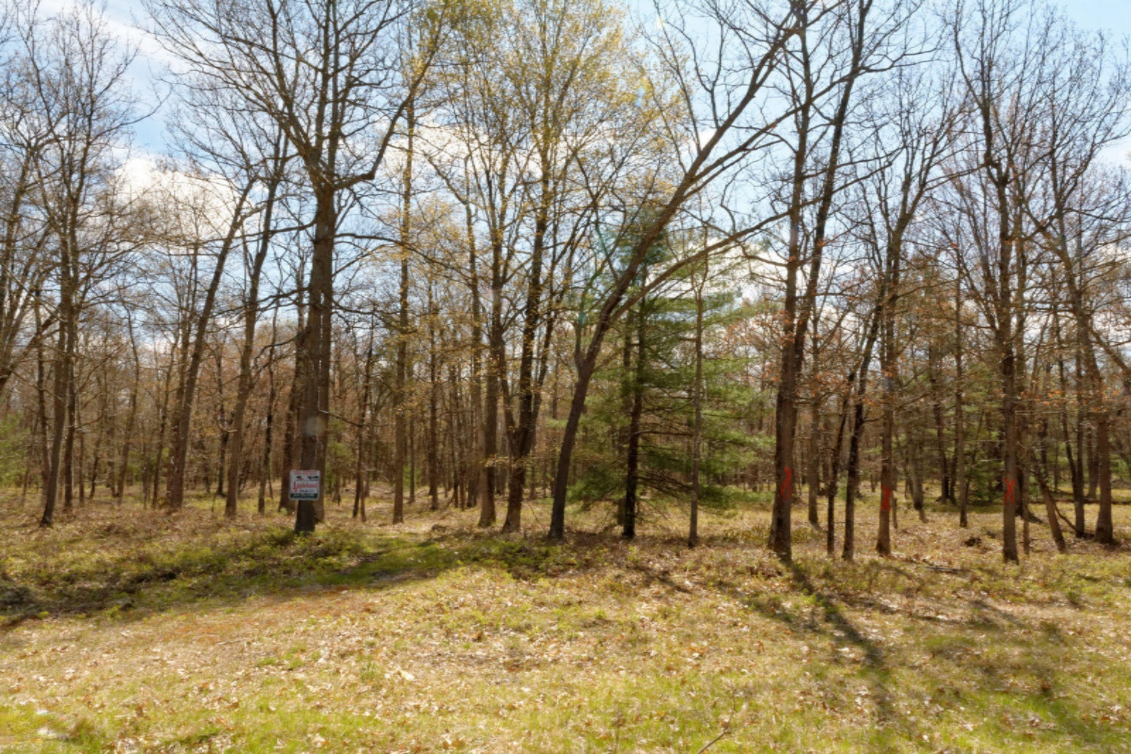 Star Acres Drive Baldwin, MI 49304 - Photo 7 of 10 DSC_6566_DxO