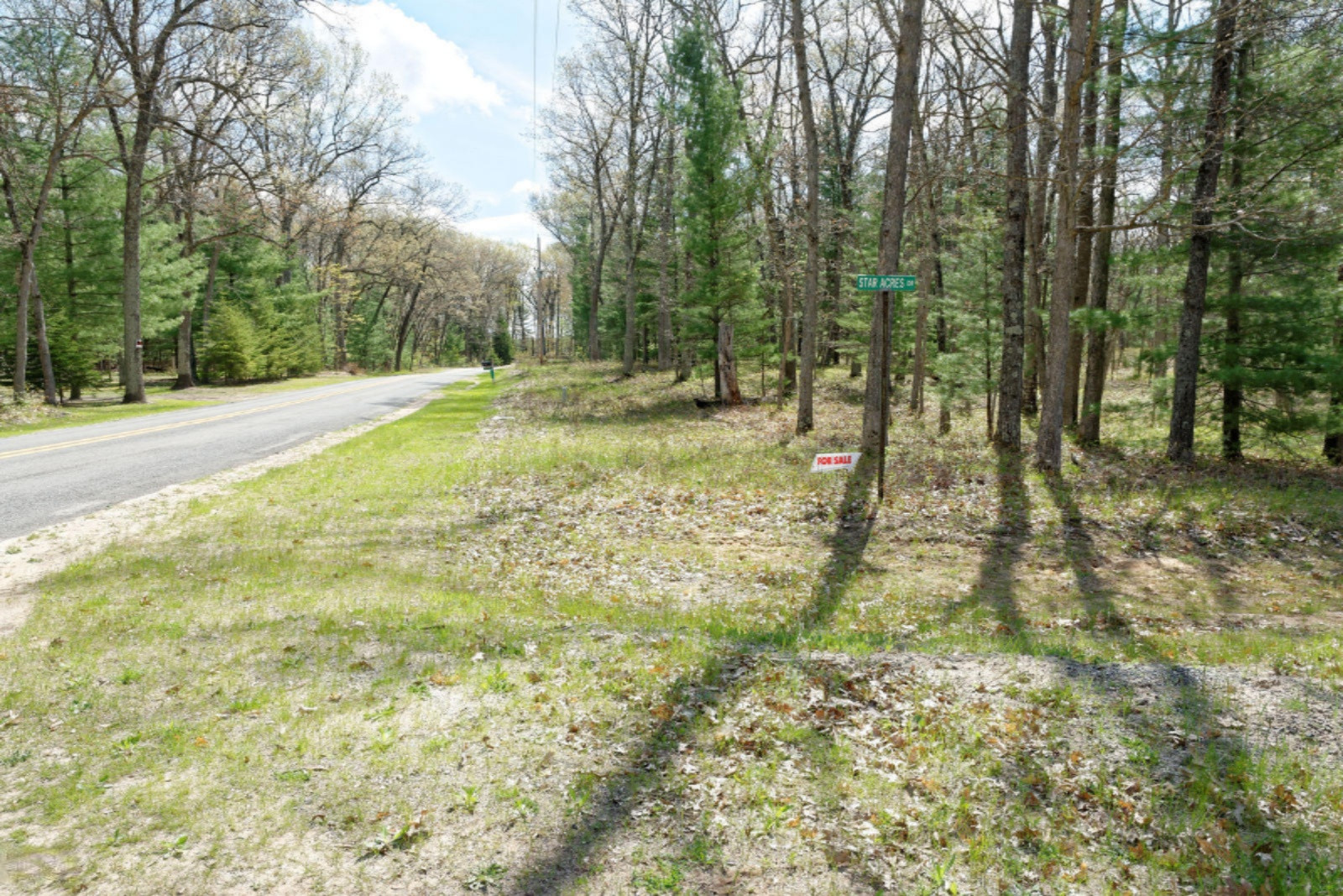 Star Acres Drive Baldwin, MI 49304 - Photo 8 of 10 DSC_6575_DxO