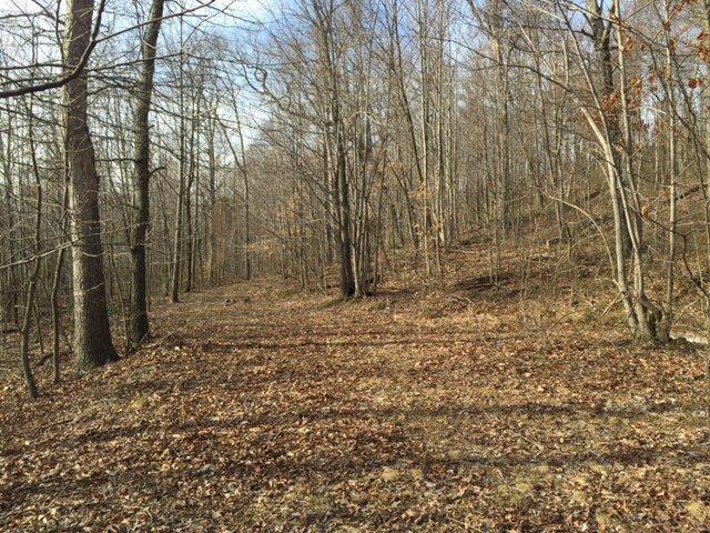 0 Poplar Grove Road Peebles, OH 45660 - Photo 1 of 1 Gallery Image 1