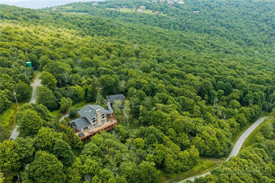 200 Summit Road Beech Mountain, NC 28604 - Photo 40 of 47