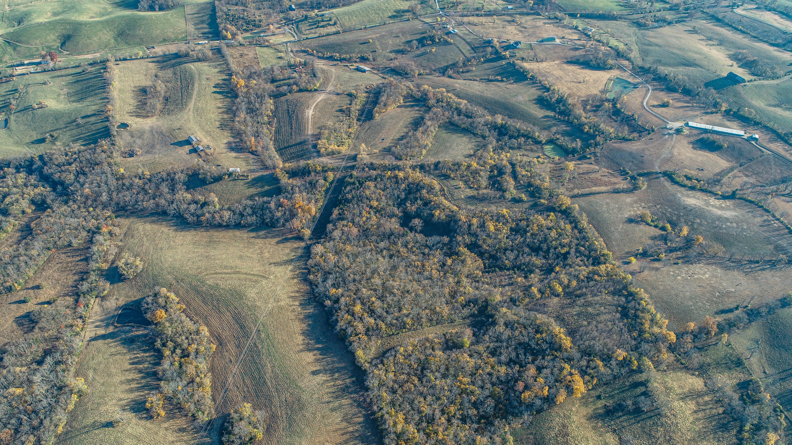 5563 Levy Road Paris, KY 40361 - Photo 16 of 23 DJI_0038