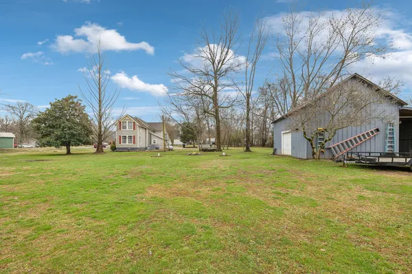 a view of a dry yard with trees