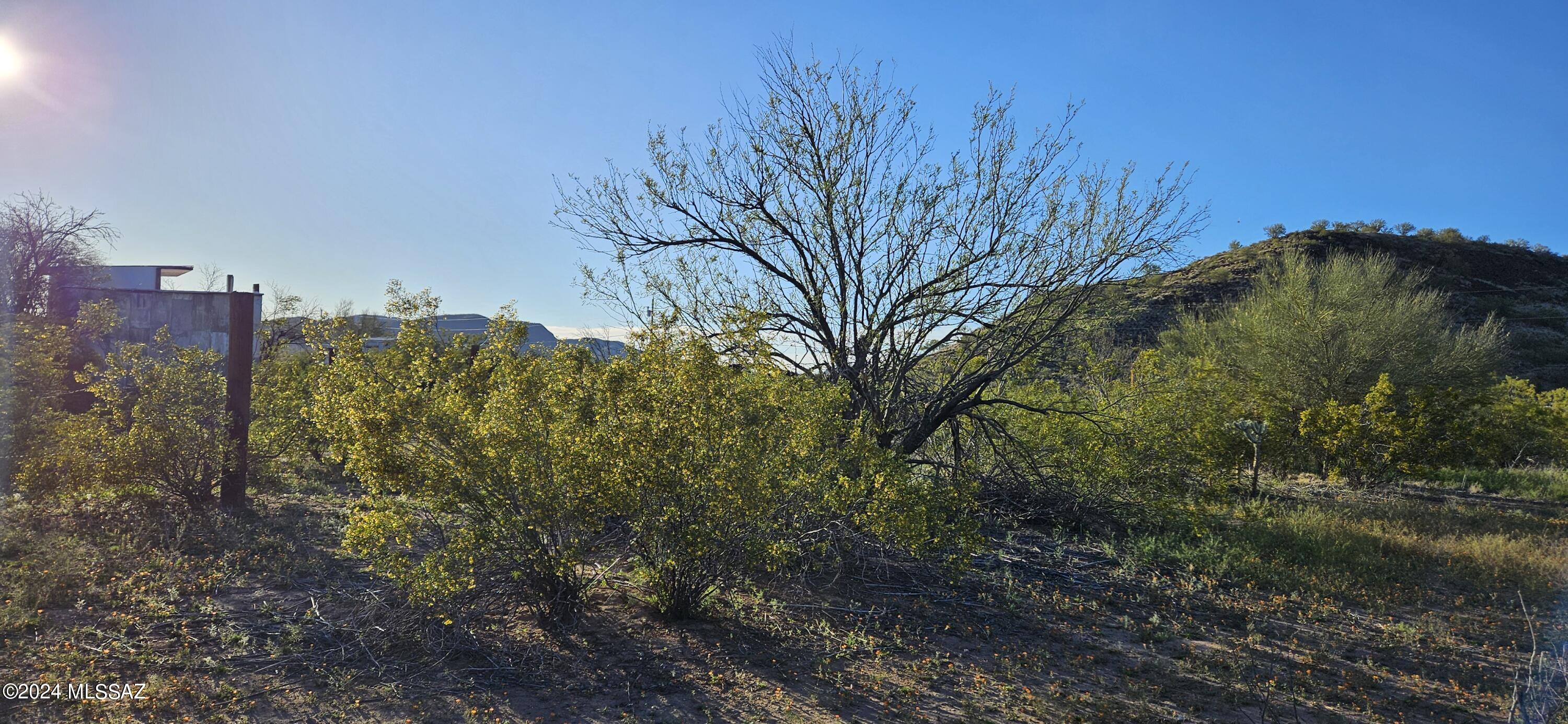 8337 South Worden Road Tucson, AZ 85735 - Photo 3 of 22