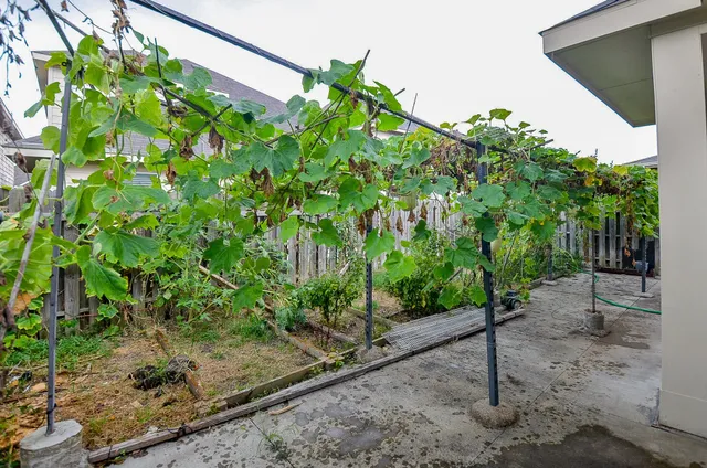 a backyard of a house with lots of green space