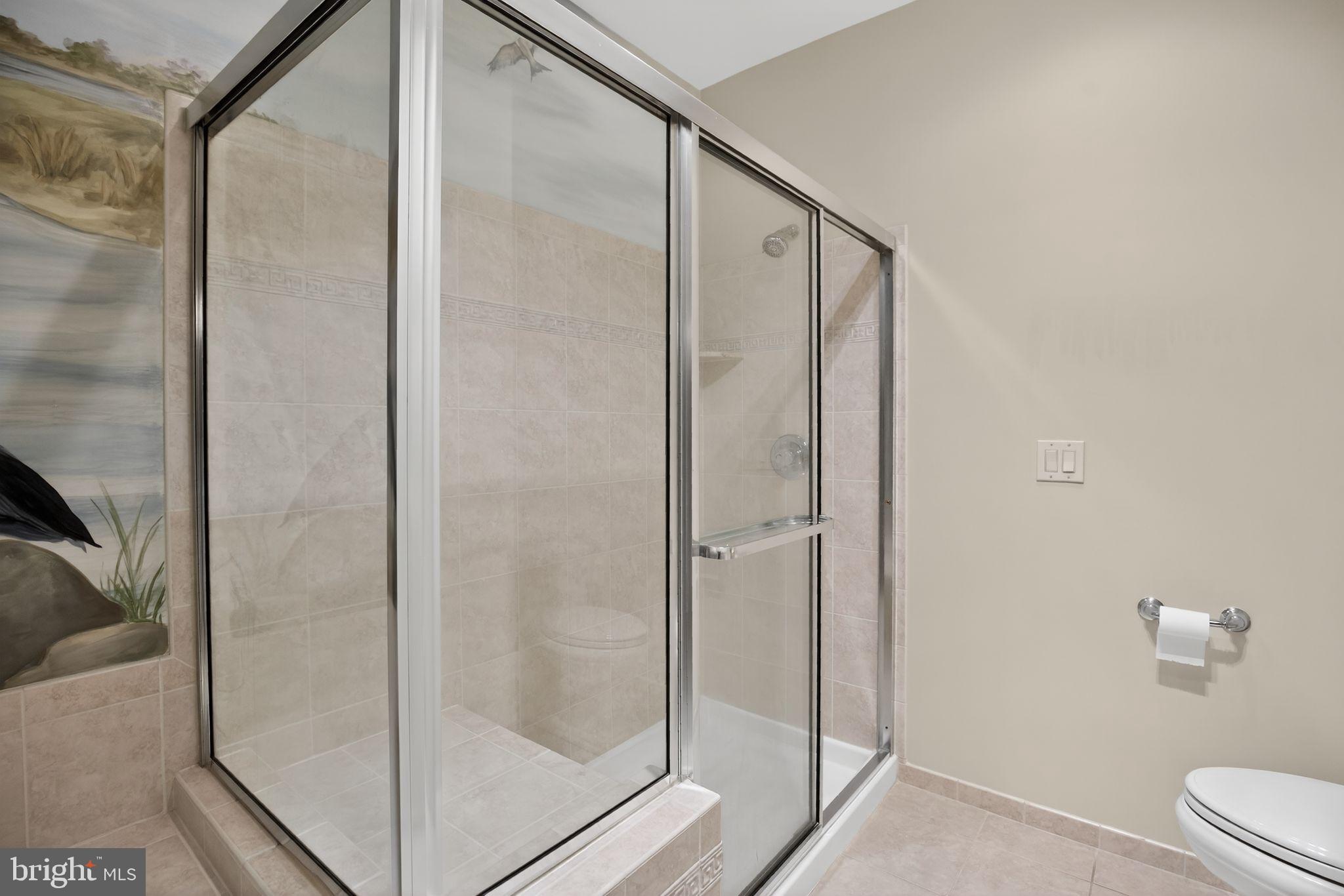 723 Runabout Loop, Unit 723 Solomons, MD 20688 - Photo 23 of 46 Walk-in shower