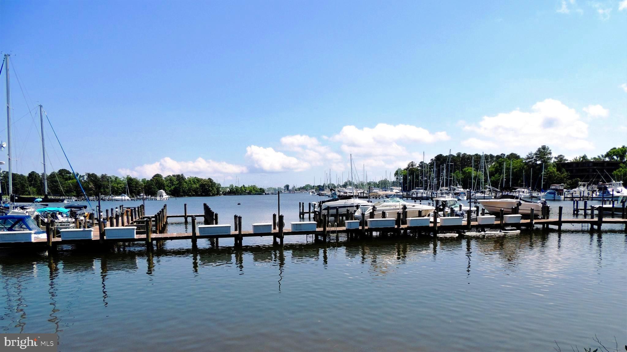 723 Runabout Loop, Unit 723 Solomons, MD 20688 - Photo 10 of 46 Community marina