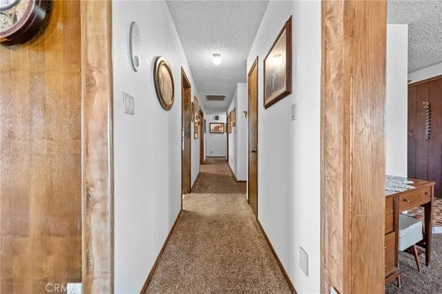a bathroom with a toilet and a shower curtain