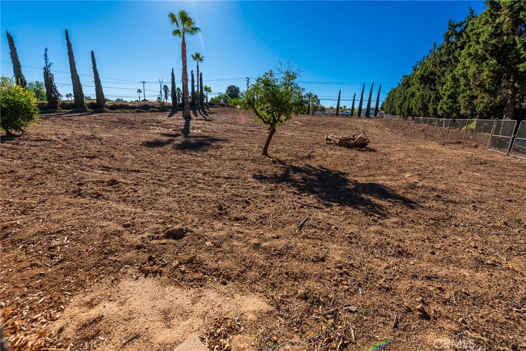 18200 Van Buren Boulevard Riverside, CA 92508 - Photo 54 of 56 a view of a dry yard with trees