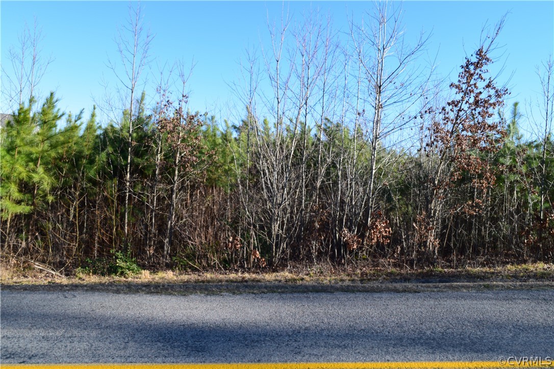 Tbd Lundys Road Dinwiddie, VA 23841 - Photo 1 of 1 Gallery Image 1
