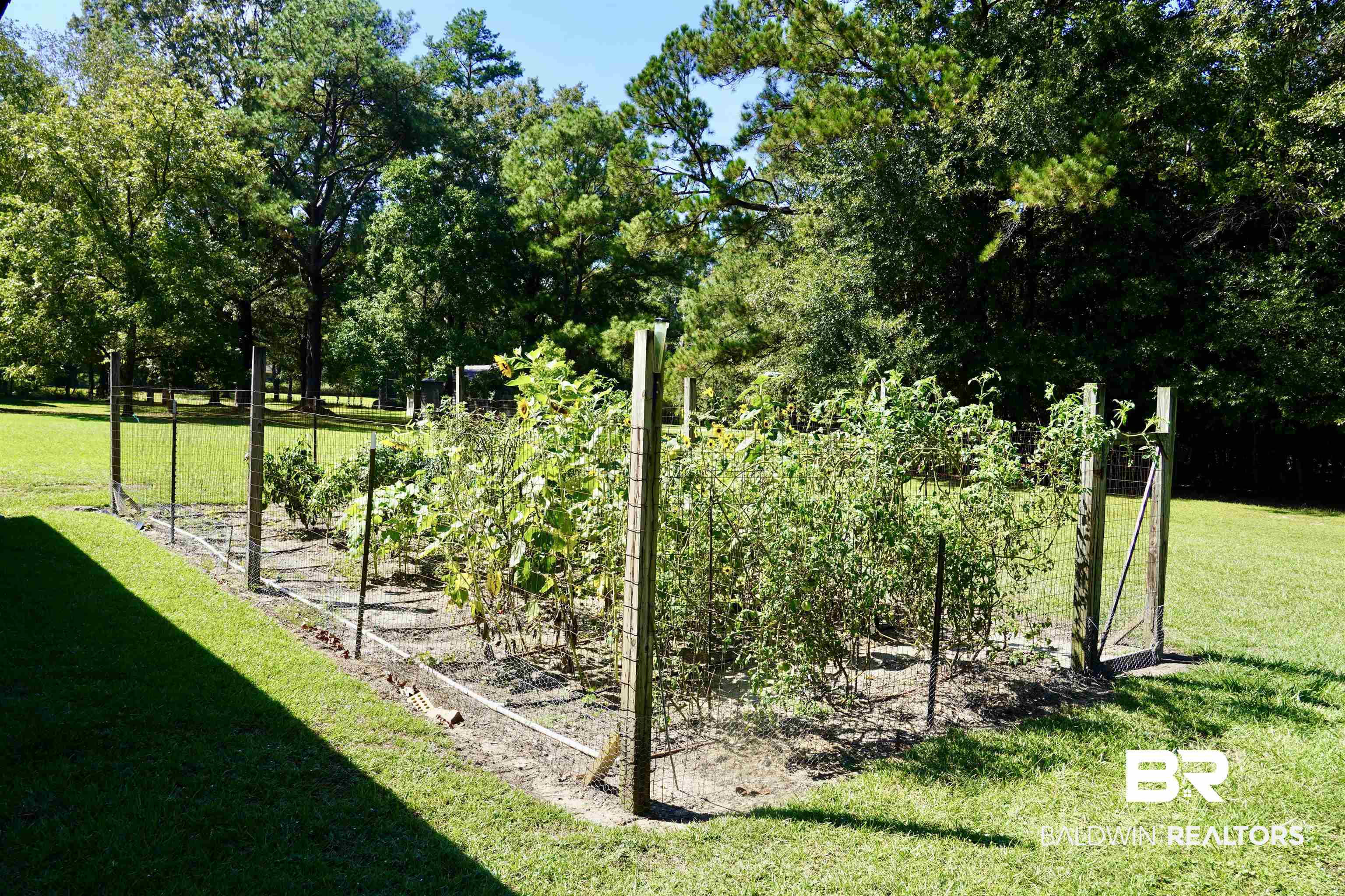 117 Belle Meade Brewton, AL 36426 - Photo 48 of 62 View of yard