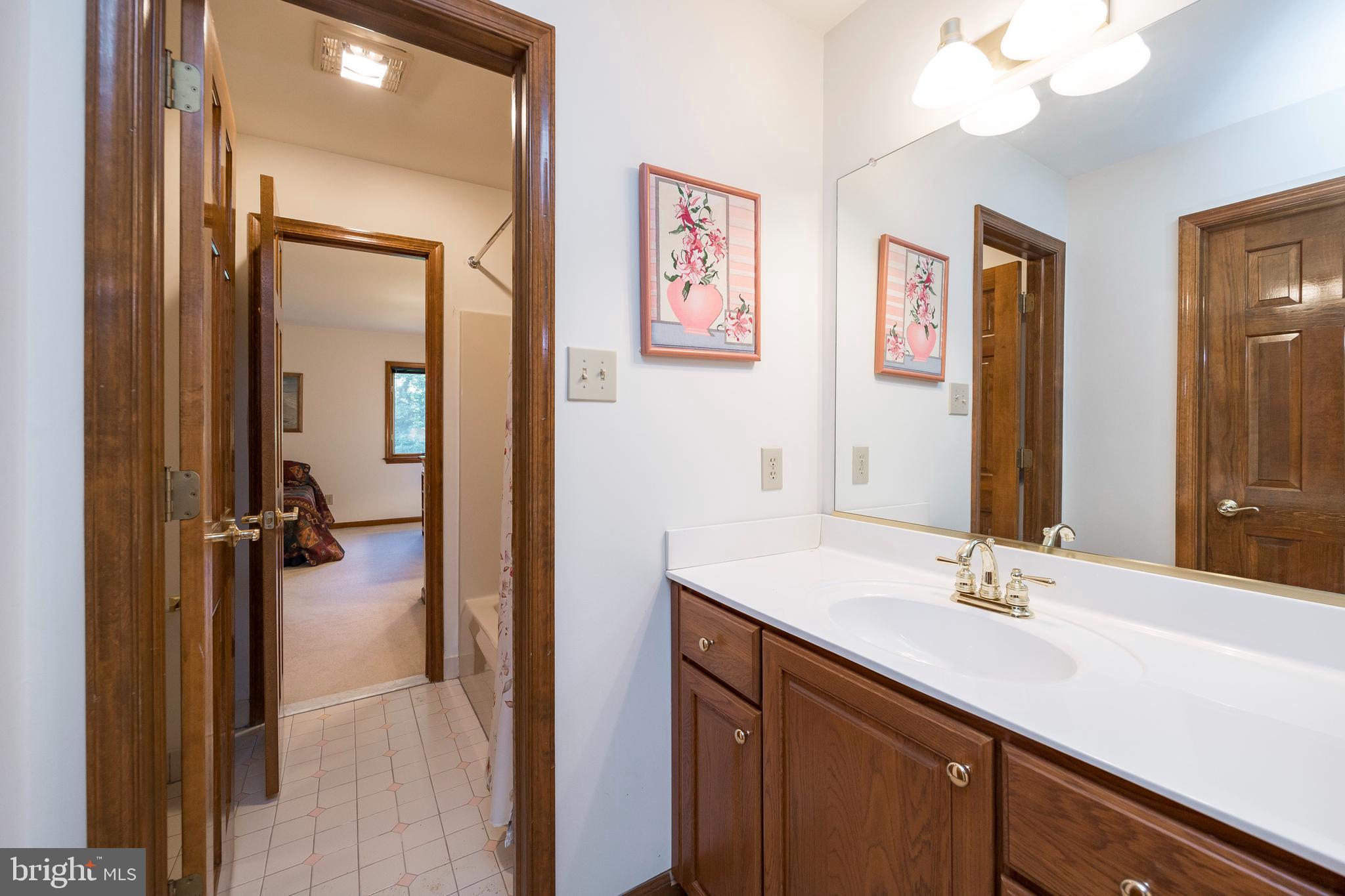 2050 St Peters Road Pottstown, PA 19465 - Photo 44 of 56 Jack and Jill Bath