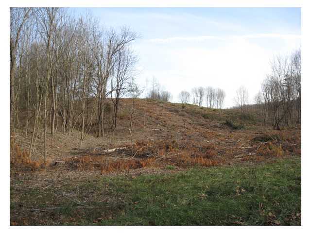 0 Adams Road Beaver, OH 45613 - Photo 3 of 11