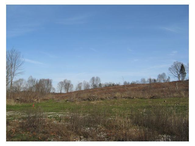 0 Adams Road Beaver, OH 45613 - Photo 5 of 11