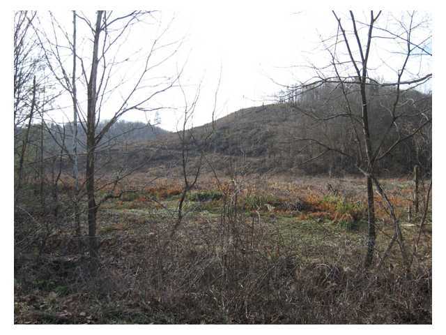 0 Adams Road Beaver, OH 45613 - Photo 6 of 11