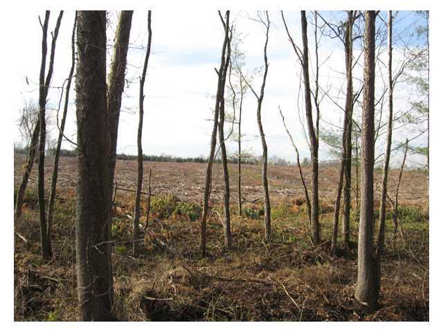 0 Adams Road Beaver, OH 45613 - Photo 7 of 11