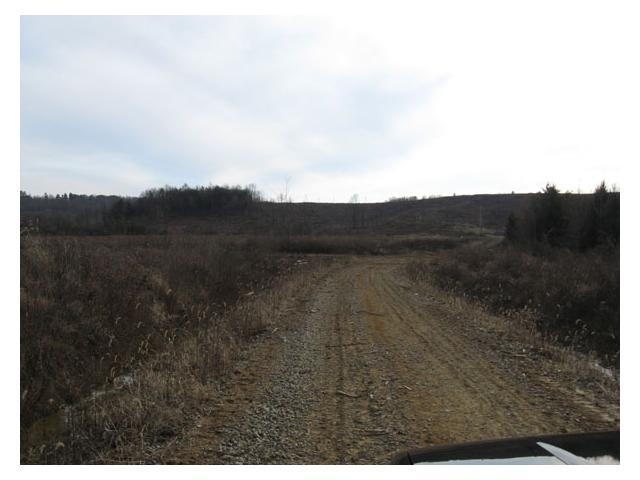 0 Adams Road Beaver, OH 45613 - Photo 8 of 11