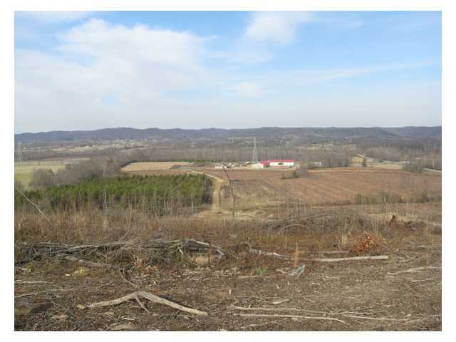 0 Adams Road Beaver, OH 45613 - Photo 9 of 11