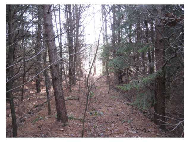 0 Adams Road Beaver, OH 45613 - Photo 10 of 11