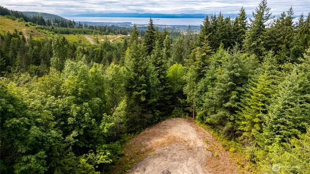 a view of a lake with a building in the background
