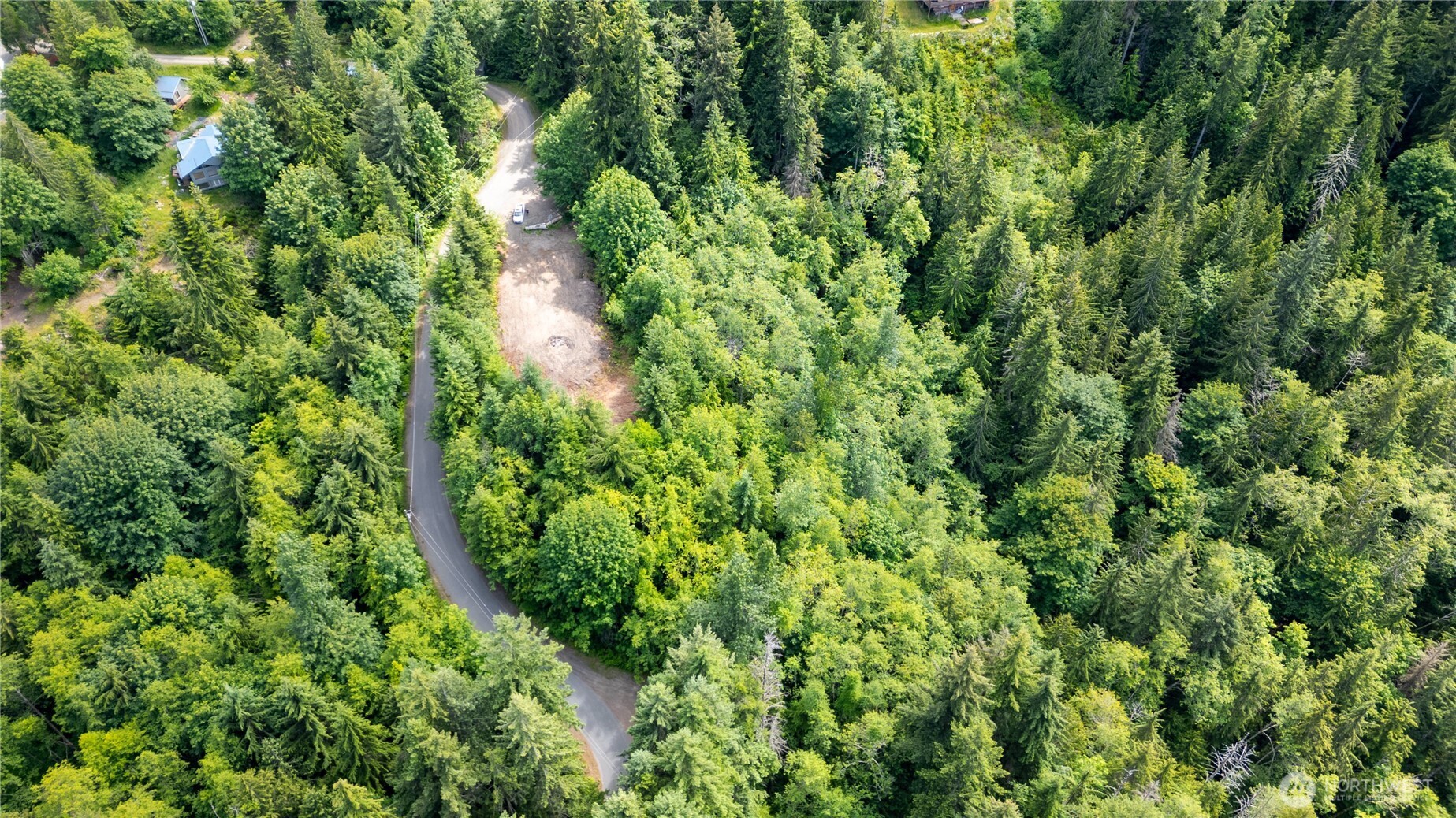 9999 South Old Mill Road Port Angeles, WA 98362 - Photo 3 of 8 a view of a lush green forest with lots of trees
