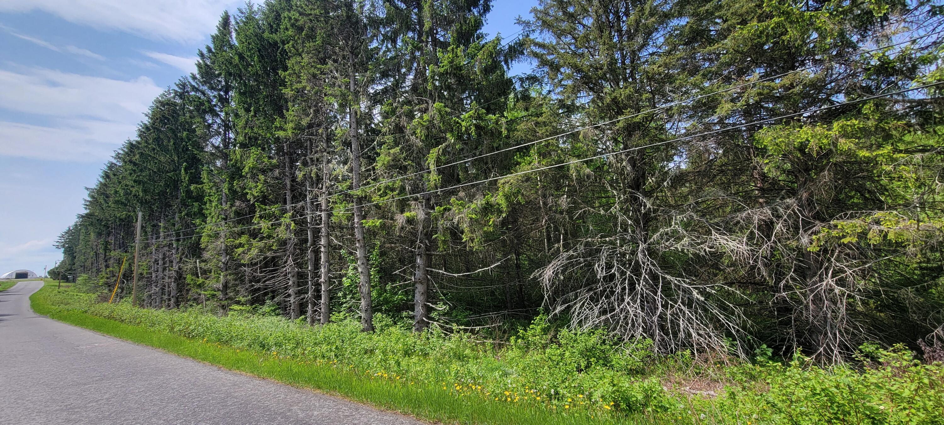 1066 South Perley Brook Road Fort Kent, ME 04743 - Photo 9 of 9 20250605_144437