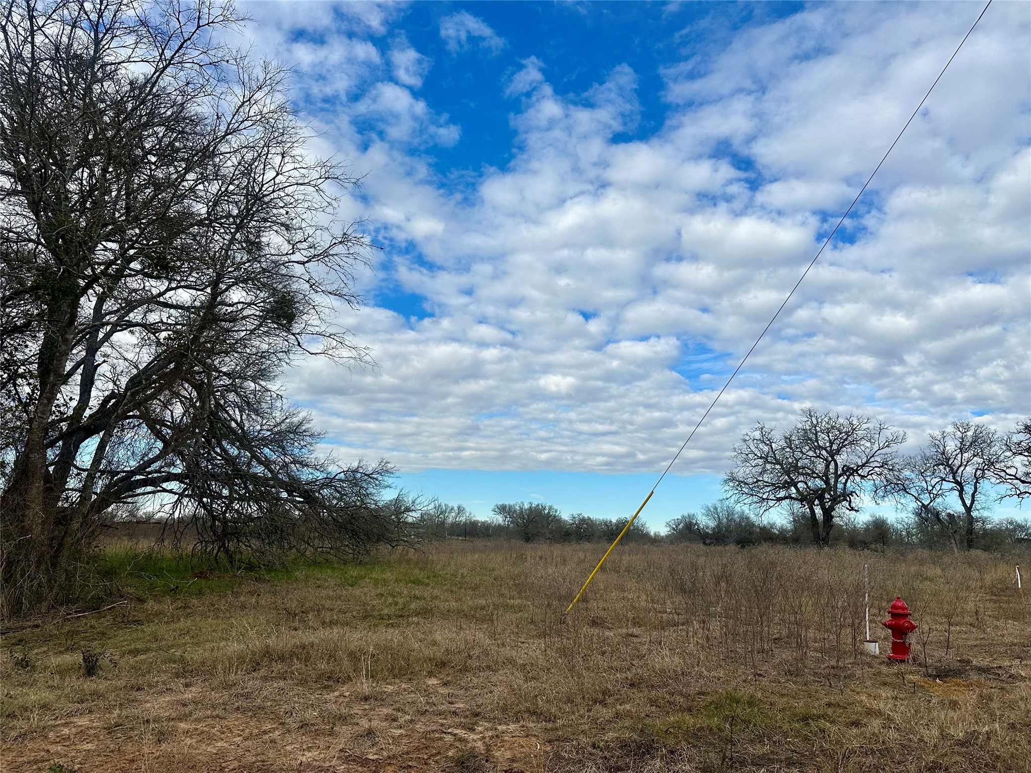 534 Ferguson Loop Dale Dale, TX 78616 - Photo 11 of 15 a view of a lake from a yard