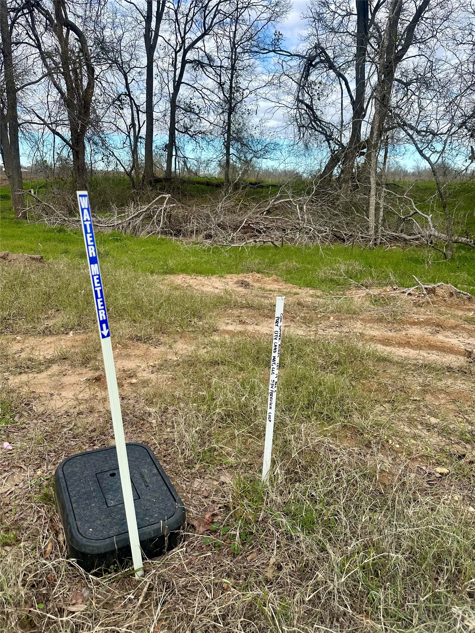534 Ferguson Loop Dale Dale, TX 78616 - Photo 12 of 15 a view of a yard with a tree