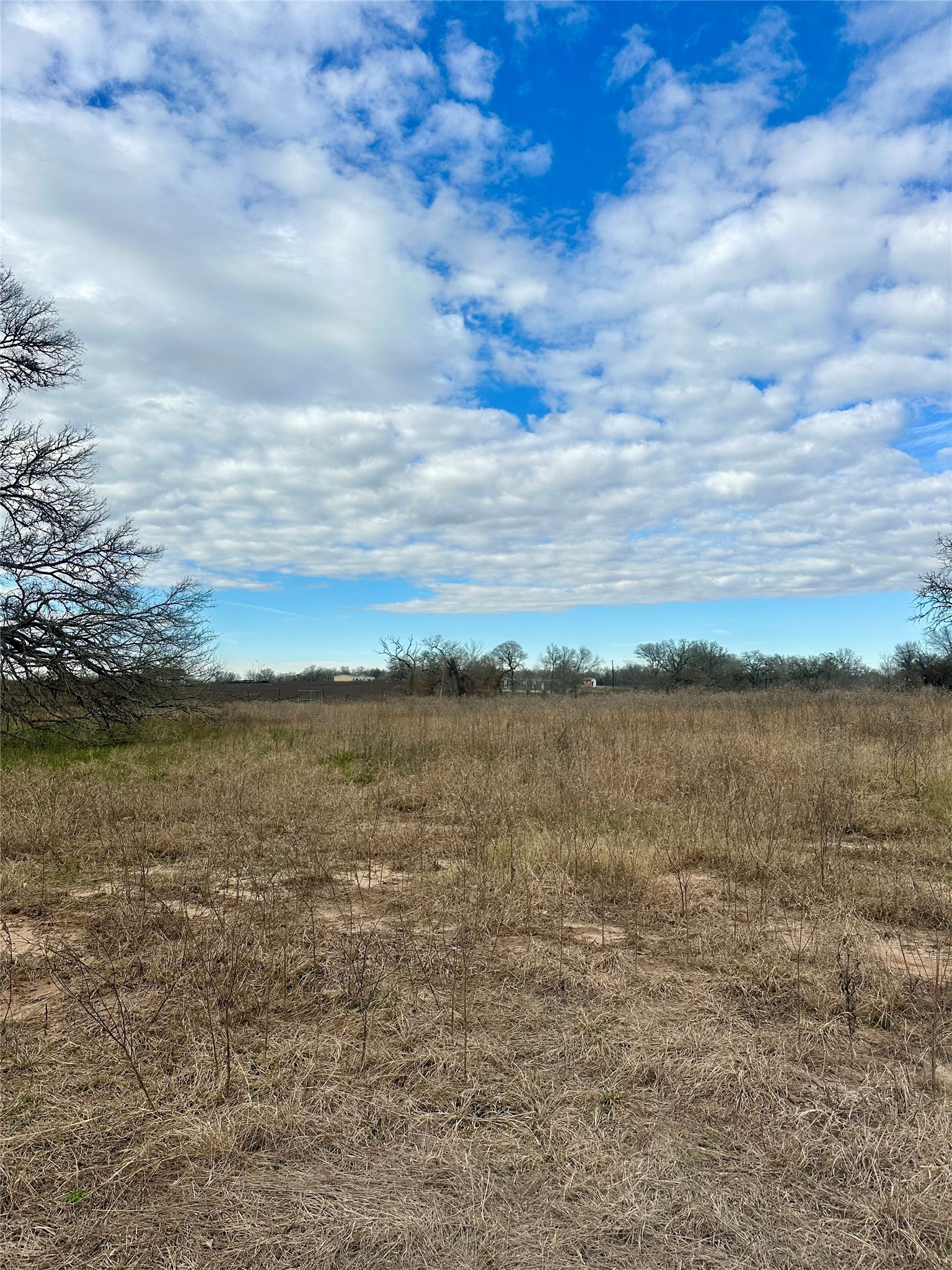 534 Ferguson Loop Dale Dale, TX 78616 - Photo 13 of 15