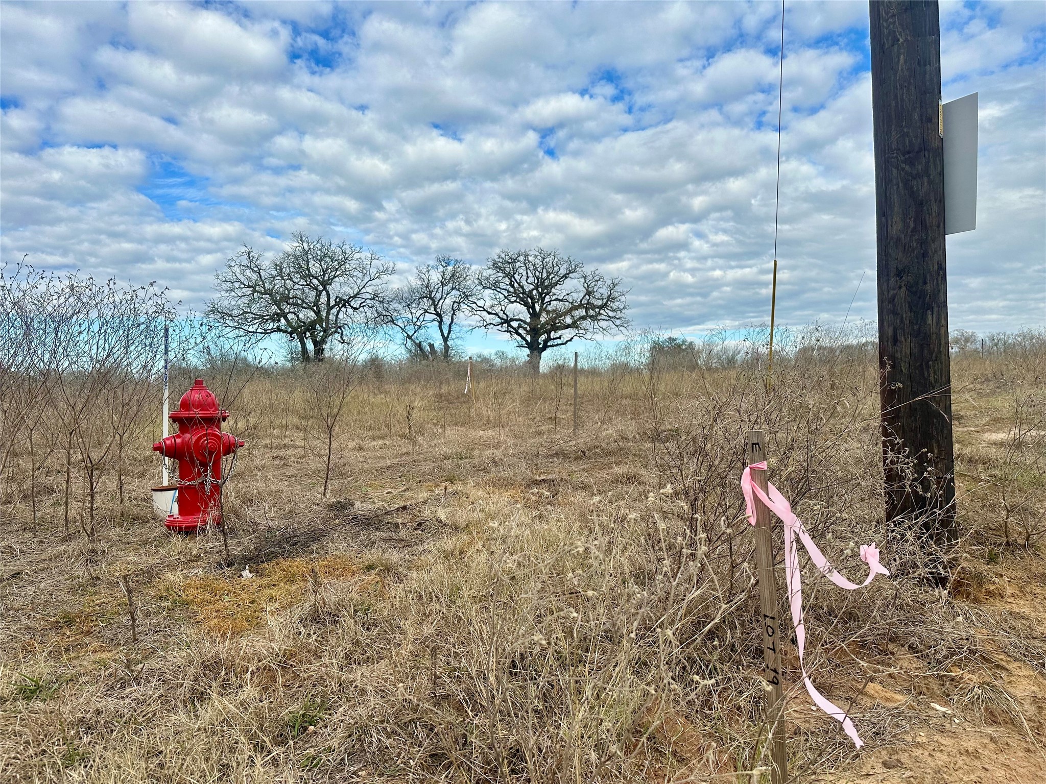 534 Ferguson Loop Dale Dale, TX 78616 - Photo 14 of 15 a view of a wooden floor with a water fountain and trees in the background