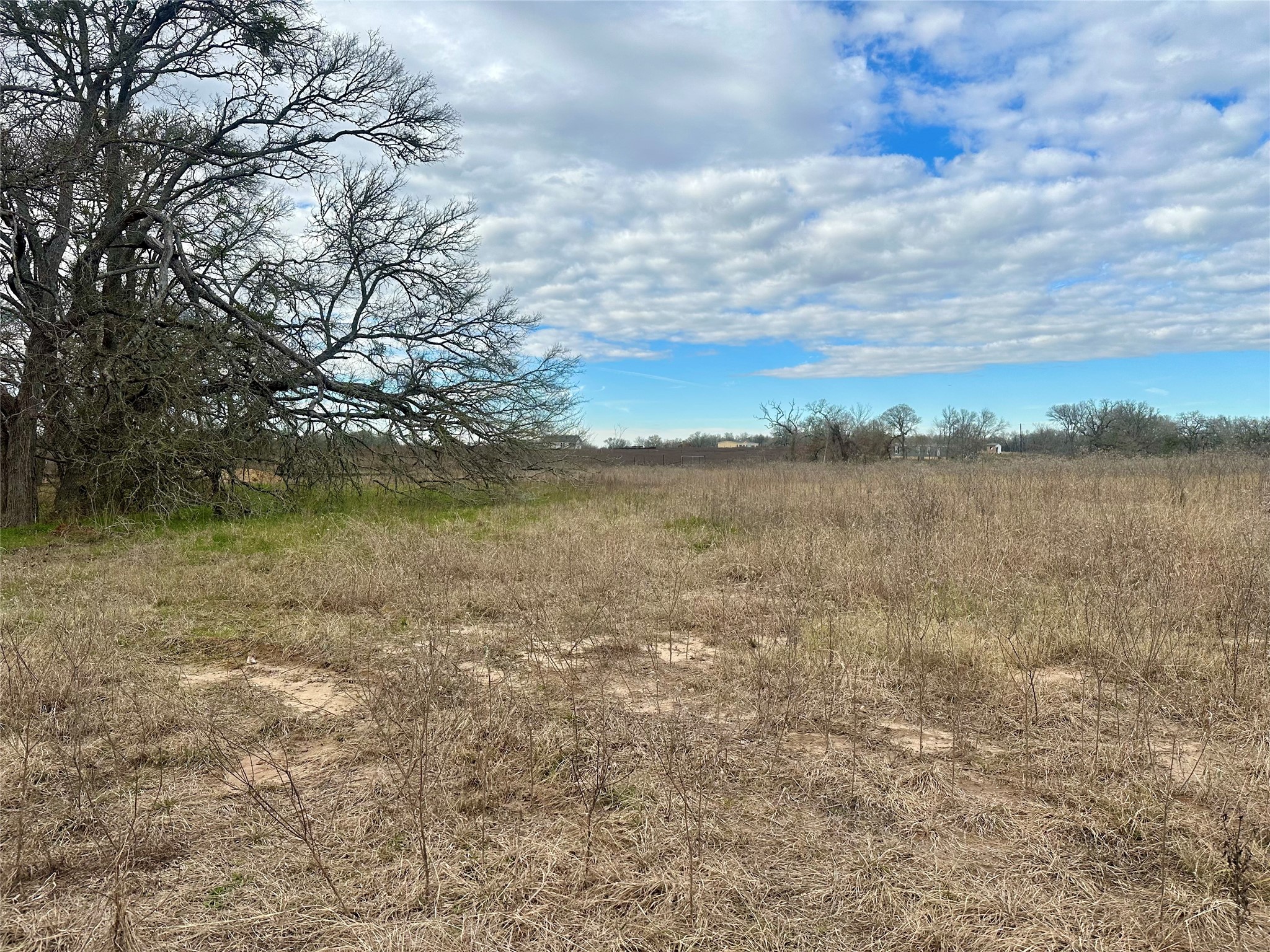 534 Ferguson Loop Dale Dale, TX 78616 - Photo 15 of 15 a view of a lake from a yard