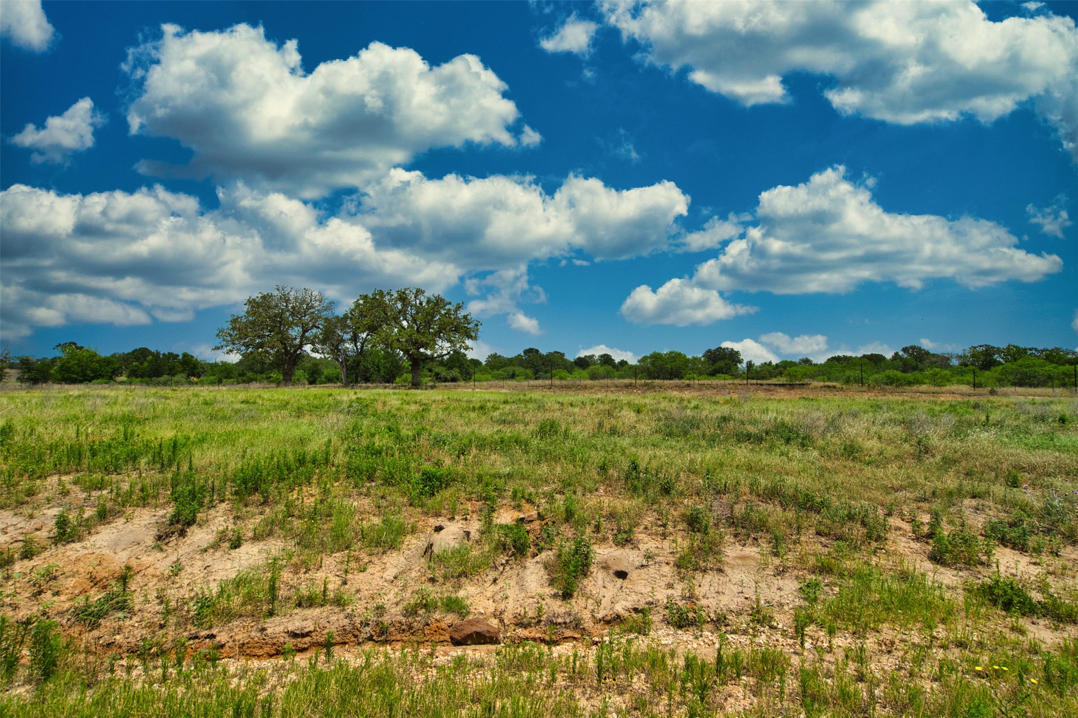 534 Ferguson Loop Dale Dale, TX 78616 - Photo 7 of 15