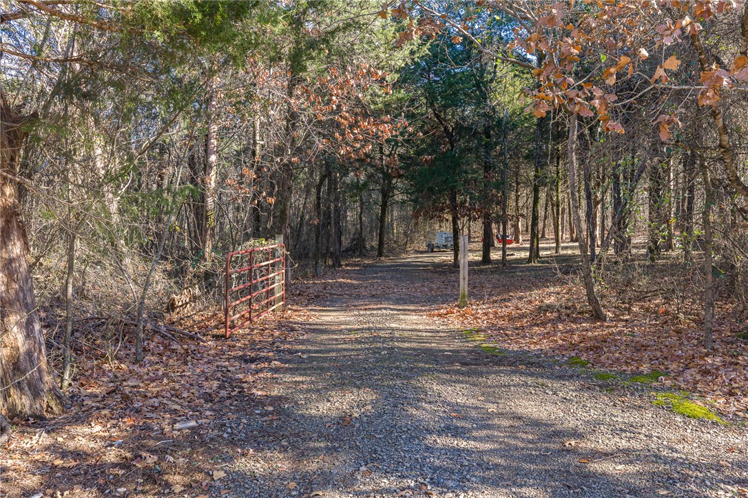 22982 Liberty Trail Road Natural Dam, AR 72948 - Photo 2 of 55 Gallery Image 2