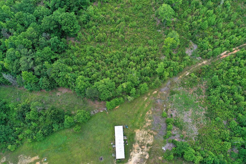3567 Poorhouse Road Victoria, VA 23974 - Photo 7 of 39 Gallery Image 7