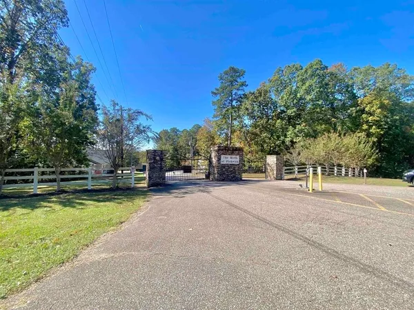 a view of a swimming pool and trees in the background