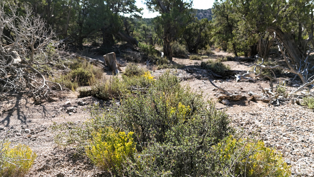 123 Tbd Prout Wash Road North Cedar City, UT 84721 - Photo 46 of 82